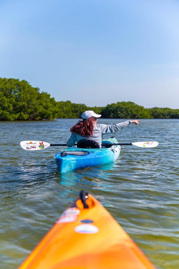 Candlewood Suites - Safety Harbor By Ihg Exteriör bild
